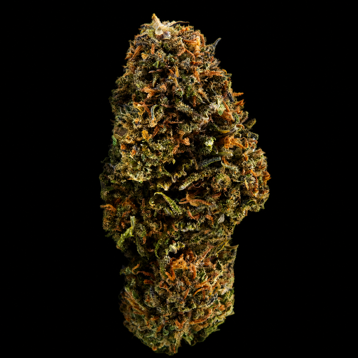 Alien Skunk CBD - France - Greenhouse