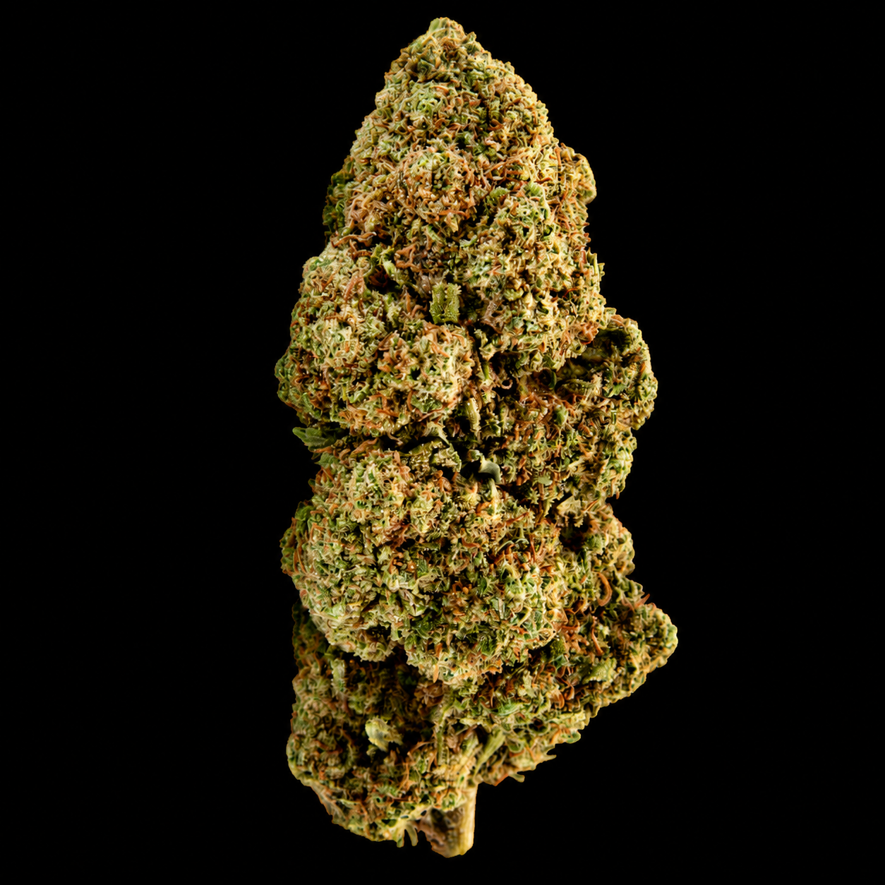 Blueberry CBD - Italie - Greenhouse