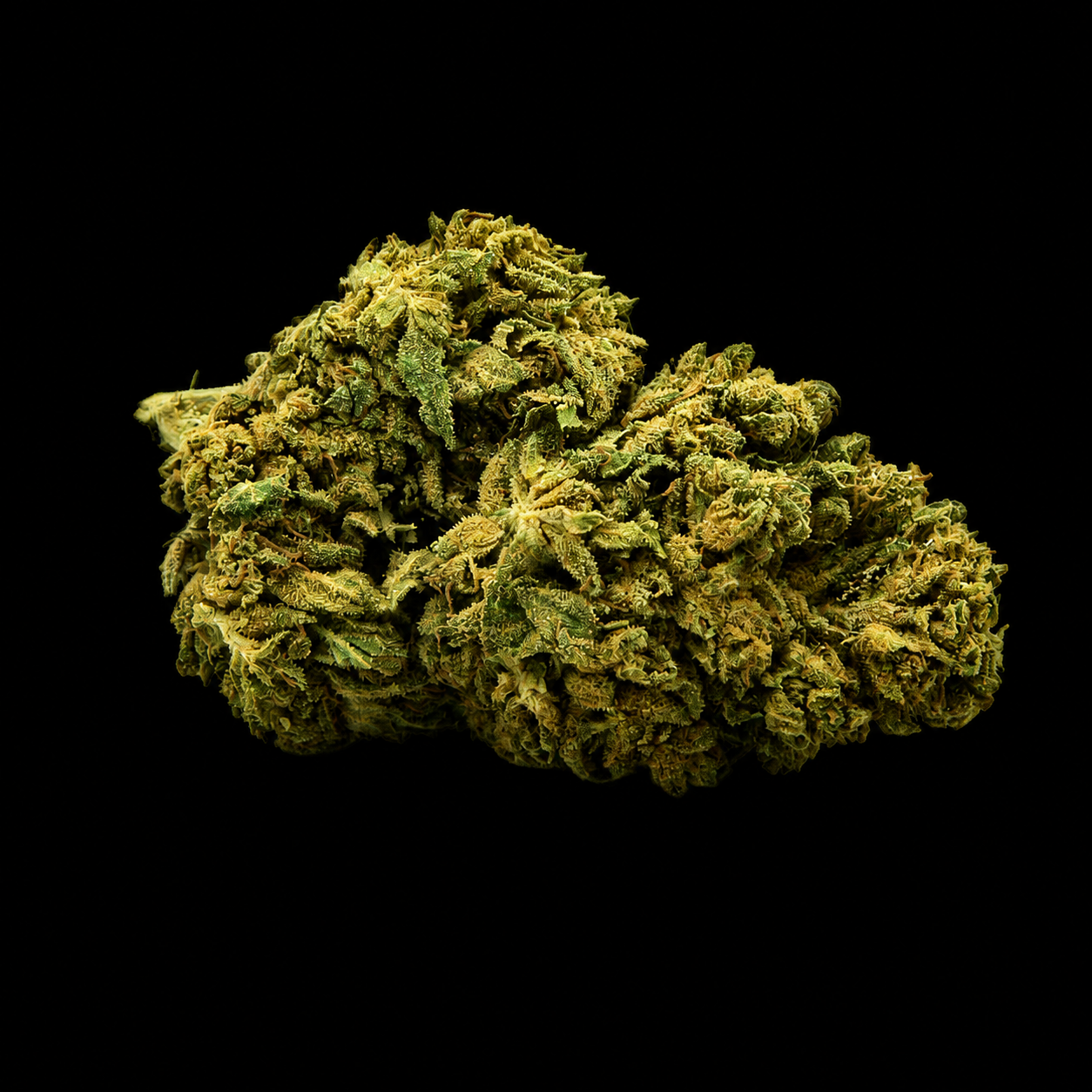 Boo Berry CBD - Italie - Greenhouse