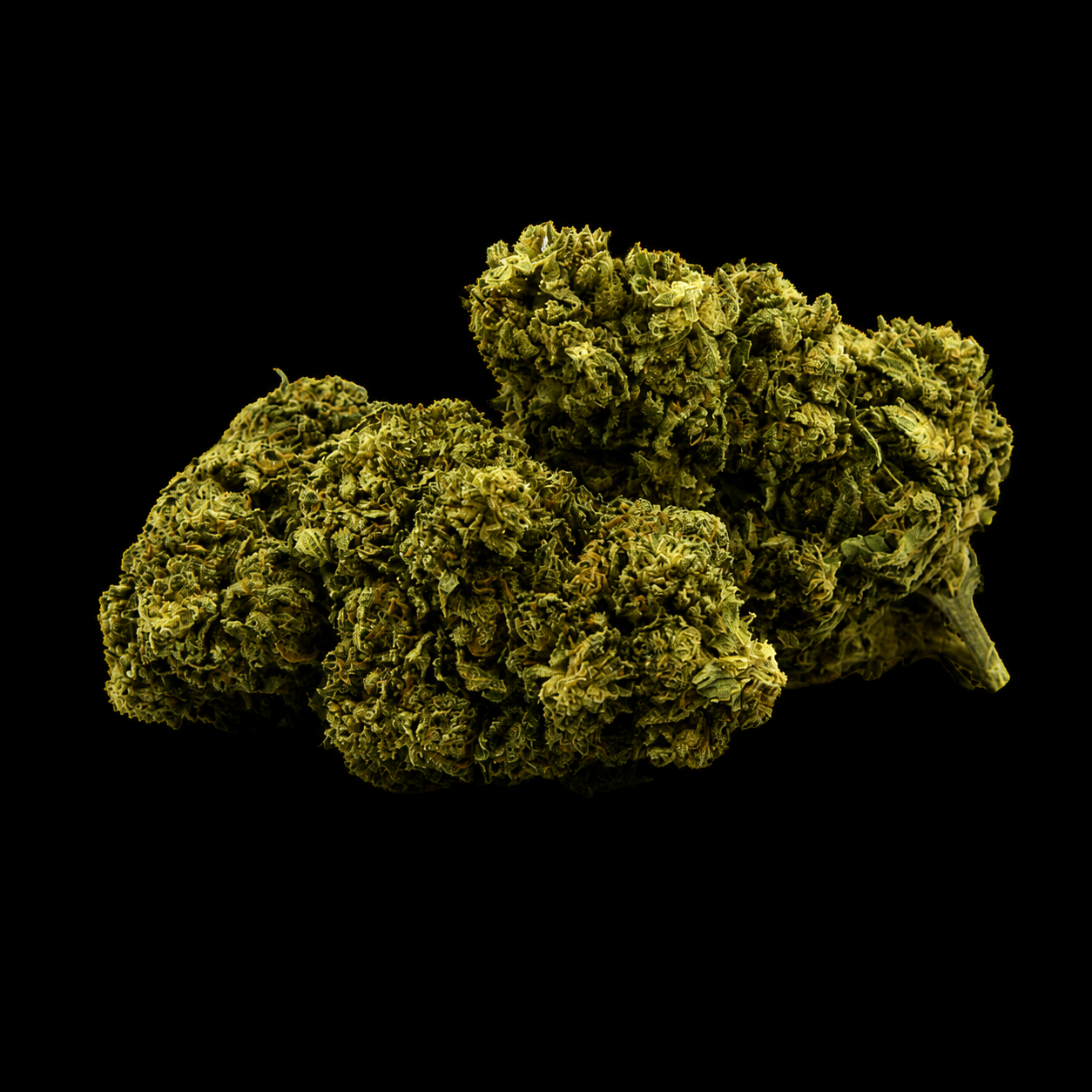 Boo Berry CBD - Italie - Greenhouse