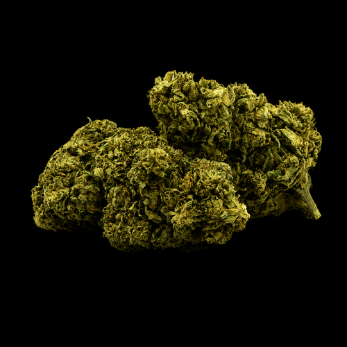 Boo Berry CBD - Italie - Greenhouse