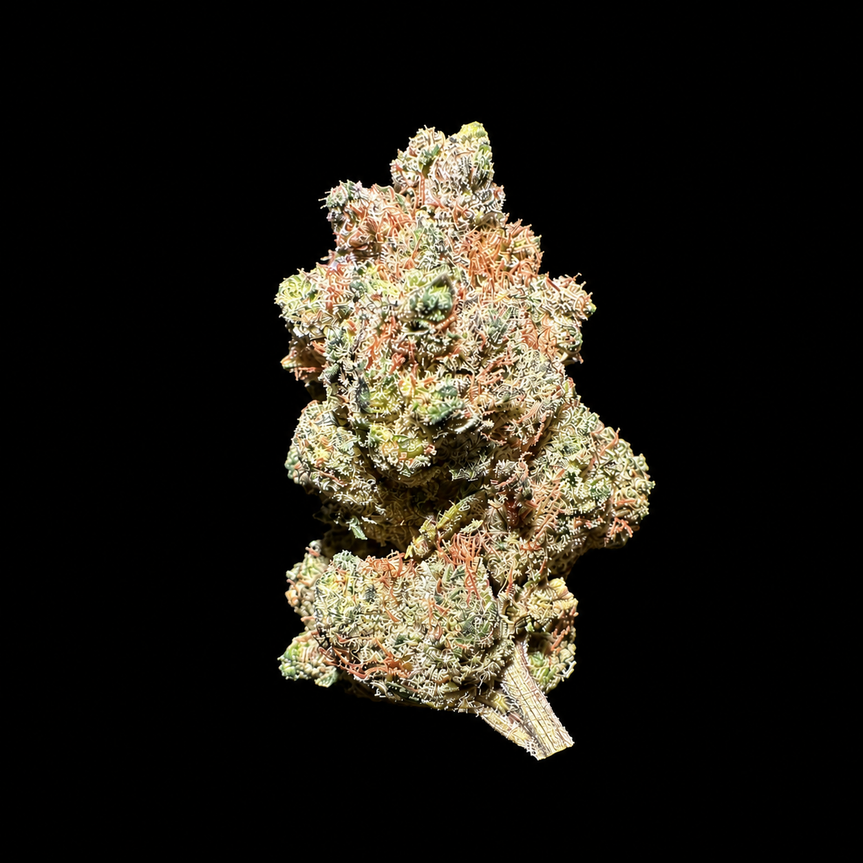 Gelato Runtz THCX - USA - Indoor