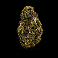 Granddaddy Purple CBD - Italie - Greenhouse
