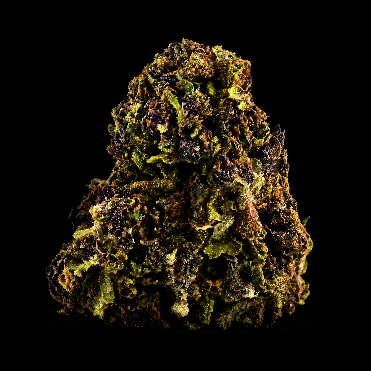Granddaddy Purple CBD - Italie - Greenhouse