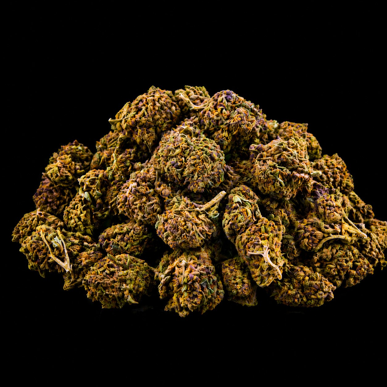 Cheese CBD - Italie - Greenhouse