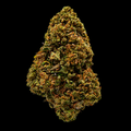 Headbanger Kush CBD - USA - Glasshouse