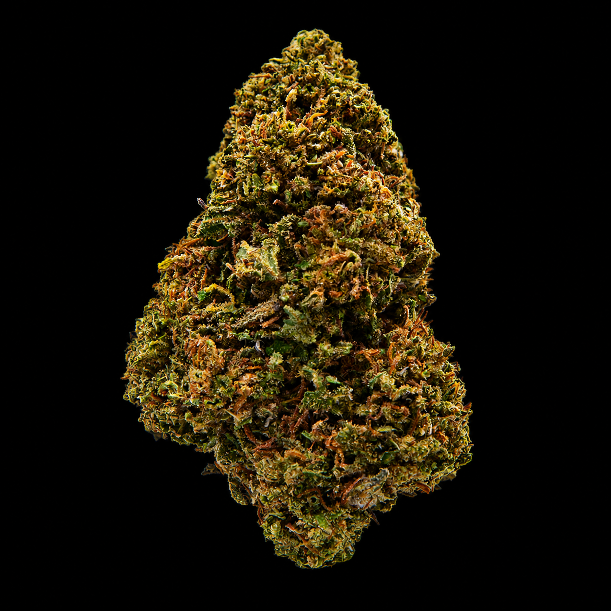 Headbanger Kush CBD - USA - Glasshouse