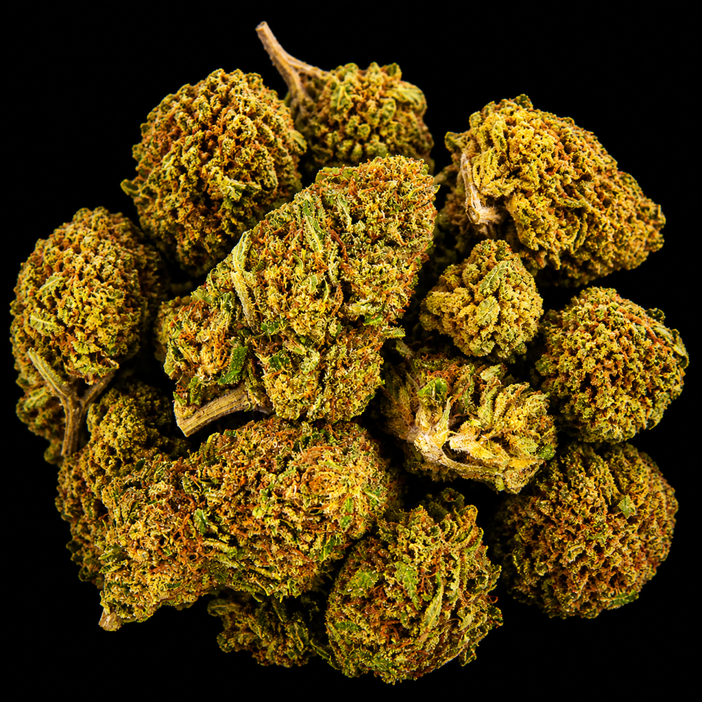 Headbanger Kush CBD - USA - Glasshouse