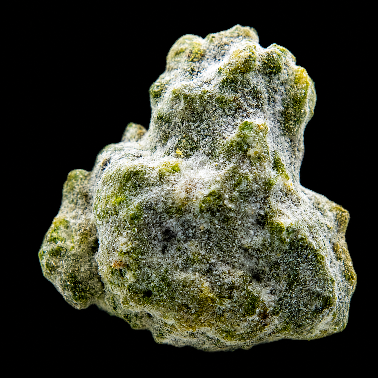 Ice Moon Rock CBD