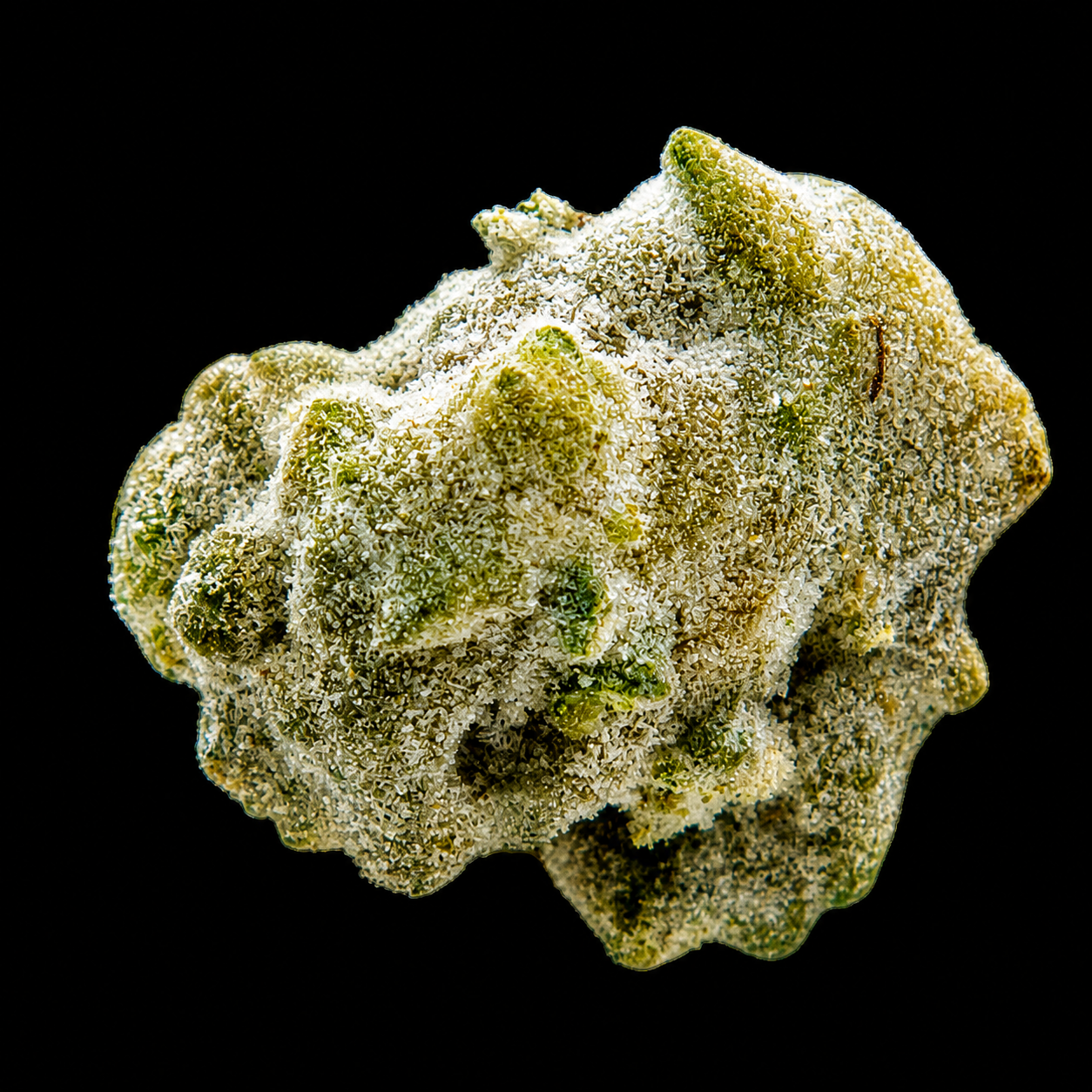 Ice Moon Rock CBD