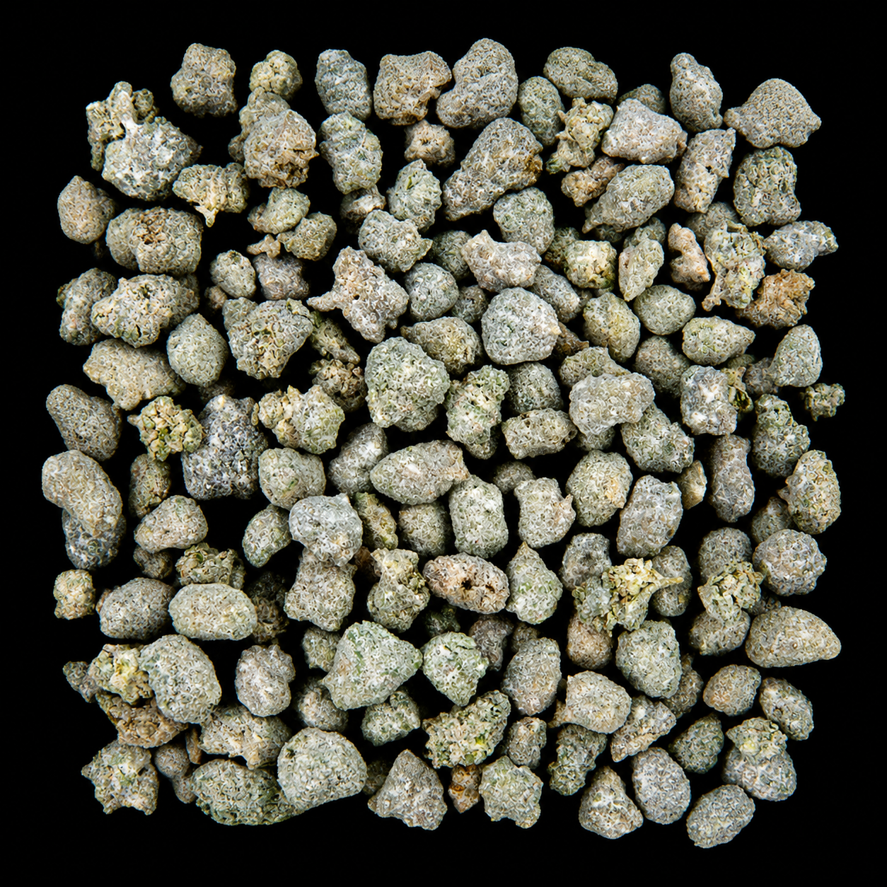 Ice Moon Rock CBD