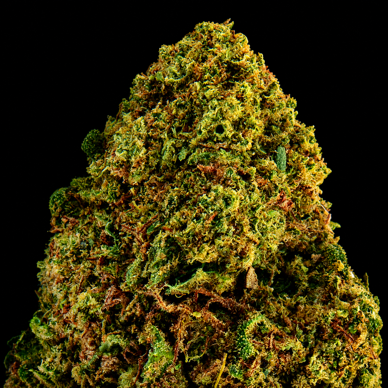 White Runtz CBD - Italie - Glasshouse