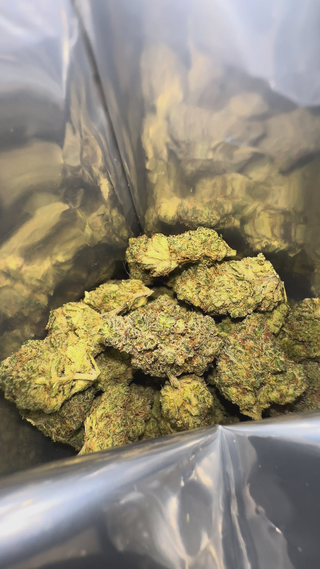 Gelato Runtz THCX - USA - Indoor
