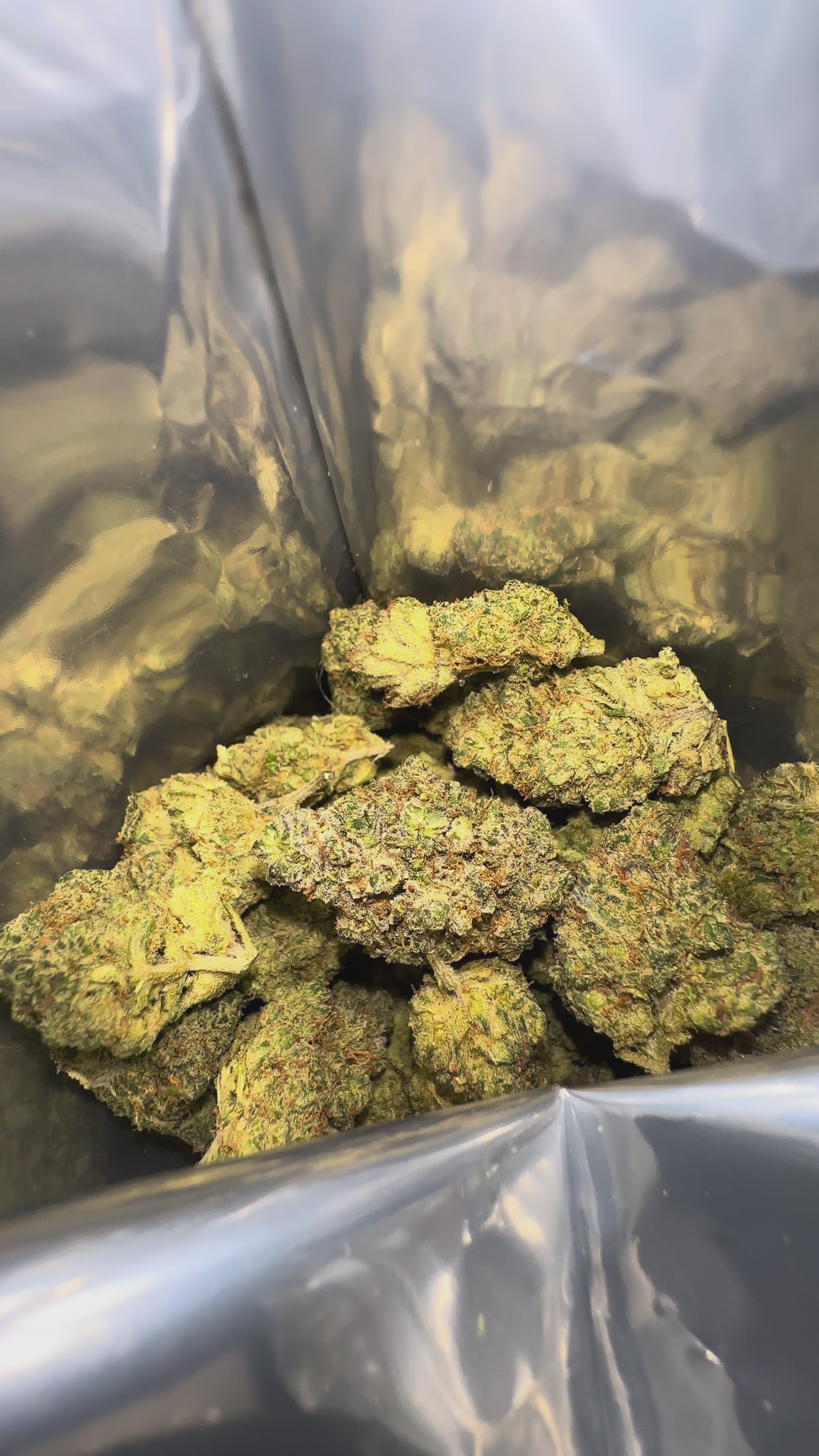 Gelato Runtz THCX - USA - Indoor